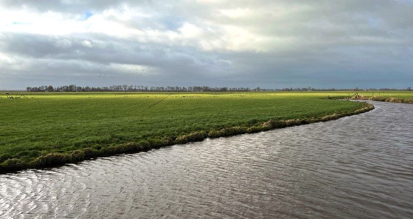 Landschap met weiland en water in Aldeboarn-De Deelen